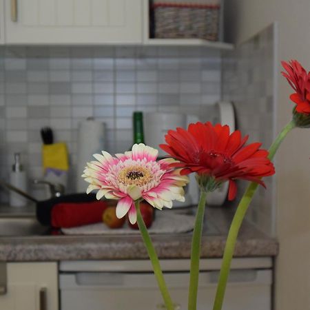 Ferienapartments Urlaub Und Meer Ostseebad Kühlungsborn Rum bild