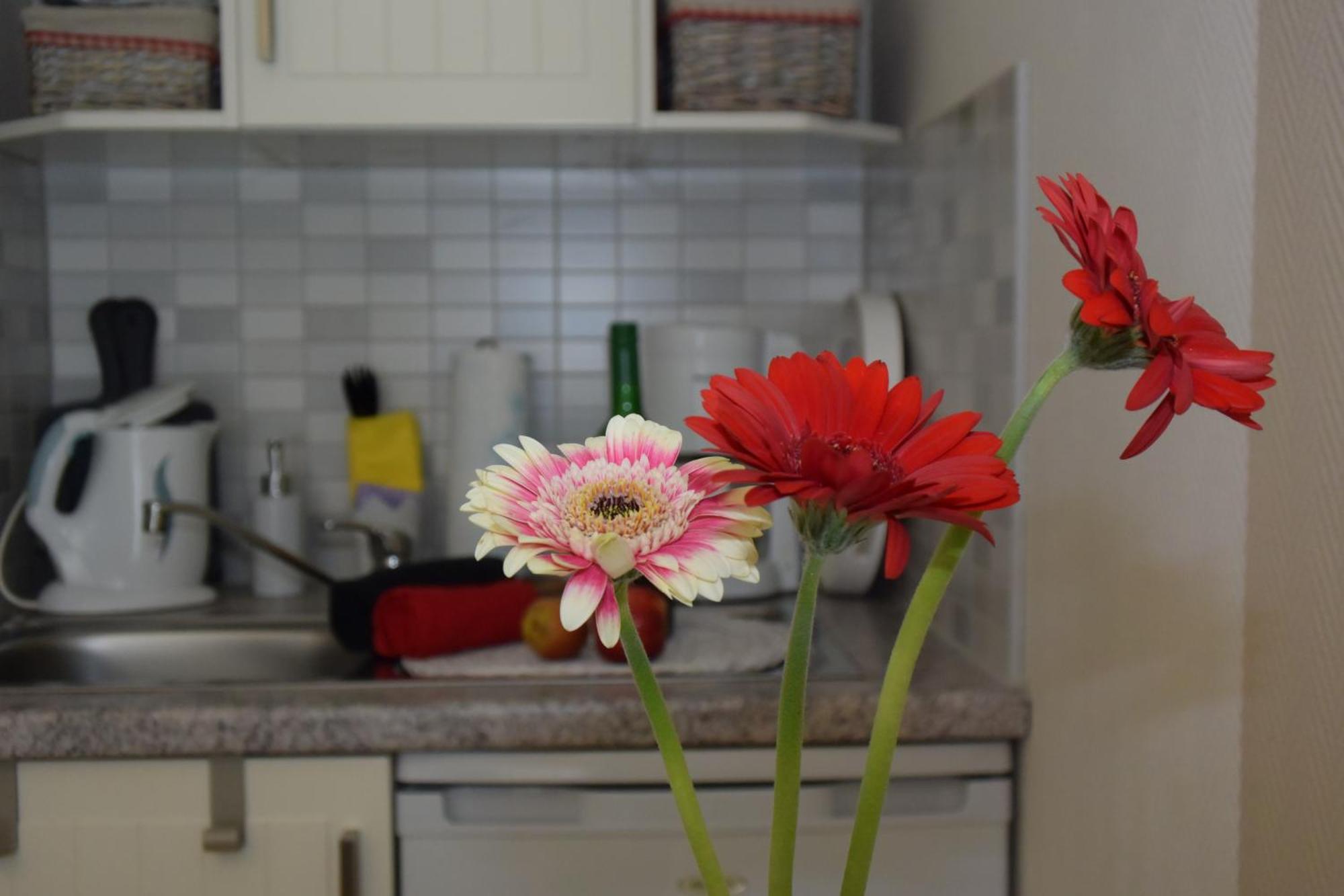 Ferienapartments Urlaub Und Meer Ostseebad Kühlungsborn Rum bild